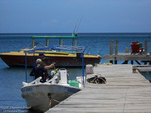 Scuba Diving Divas Roatan