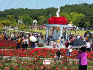 Rose Festival Ulsan