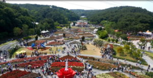 Rose Festival Ulsan