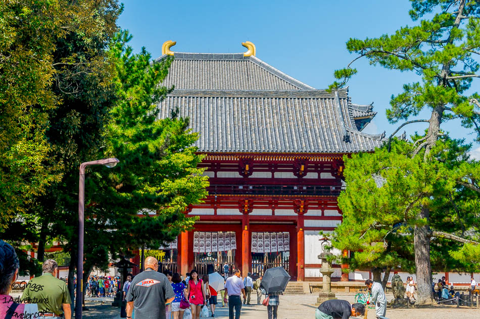 A Welcome to Nara for the First time with 1AdventureTraveler