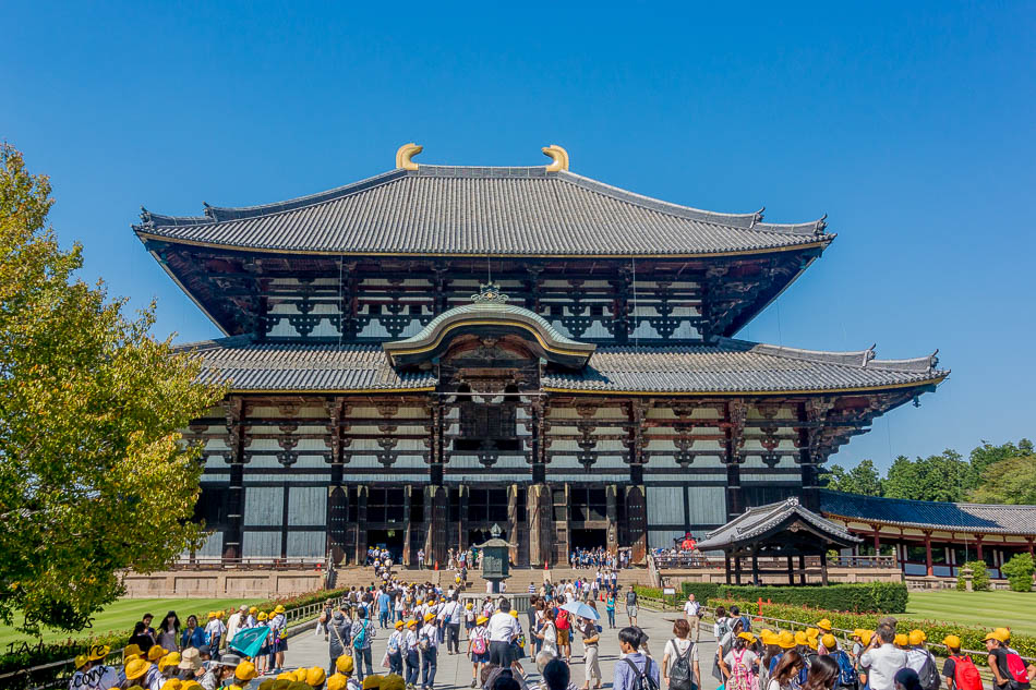 A Welcome to Nara for the First Time with 1AdventureTraveler