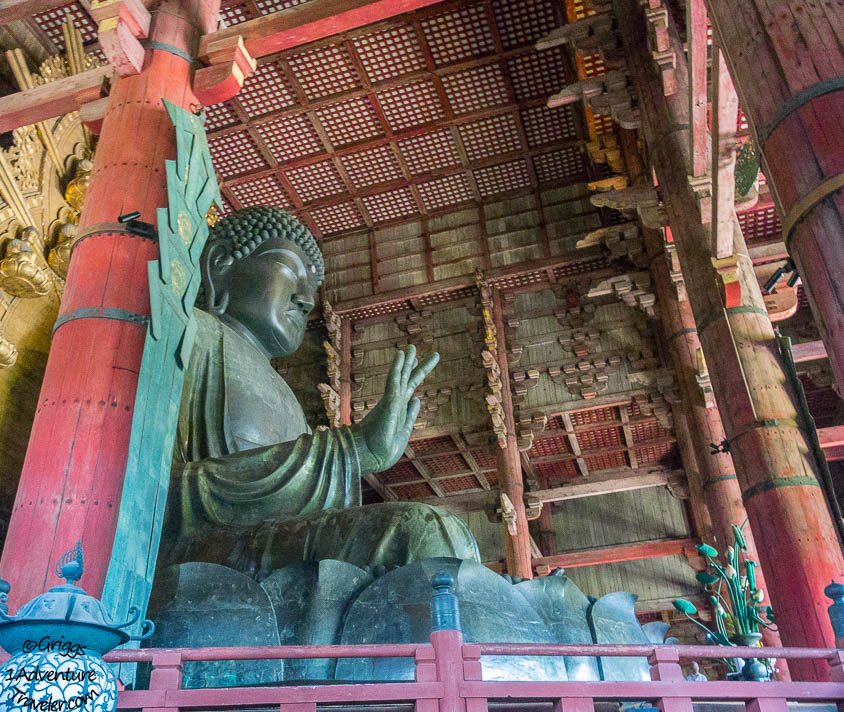 A Welcome to Nara for the First Time with 1AdventureTraveler