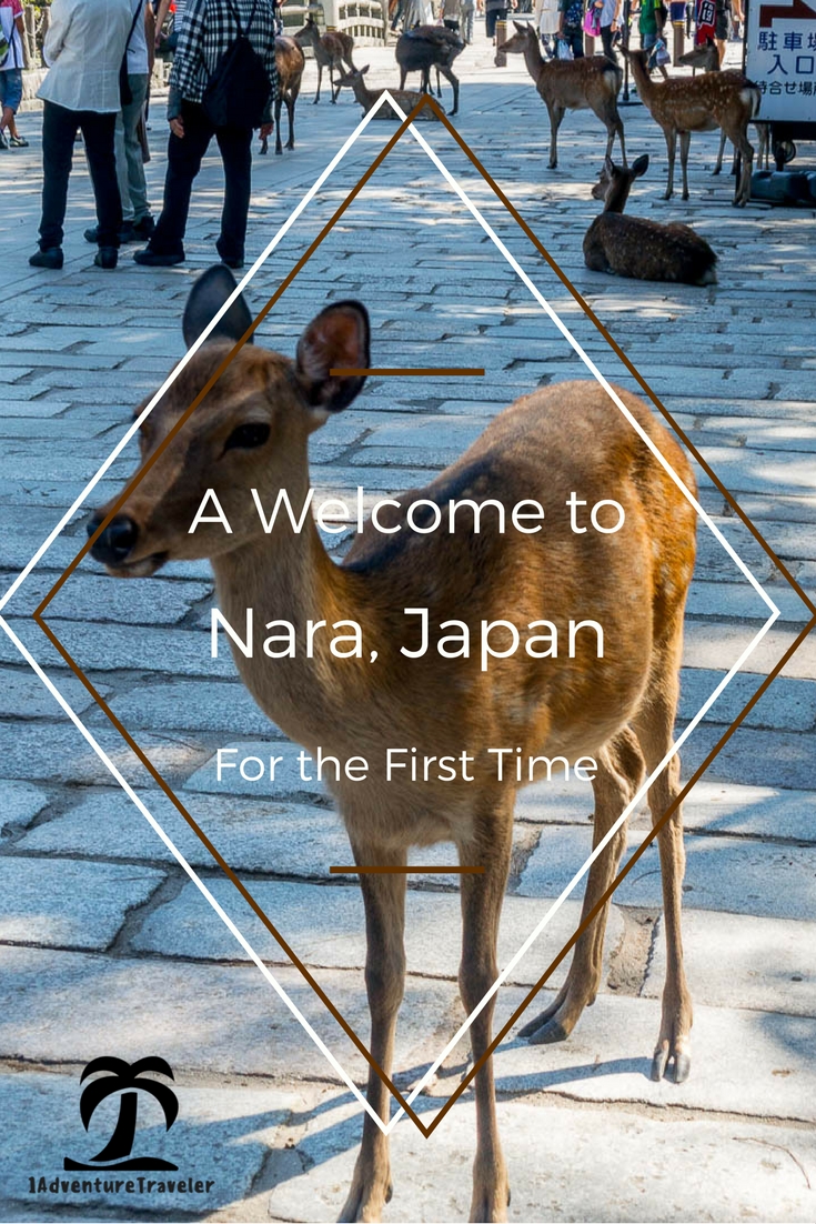 A Welcome to Nara For The First Time - 1AdventureTraveler