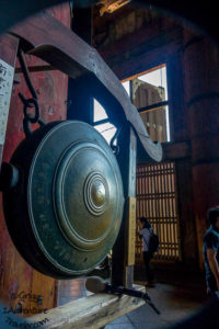 A Welcome to Nara for the First Time with 1AdventureTraveler