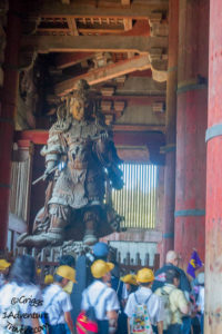 A Welcome to Nara for the First Time with 1AdventureTraveler