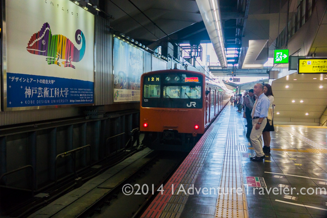 A Welcome to Nara for the First Time with 1AdventureTraveler