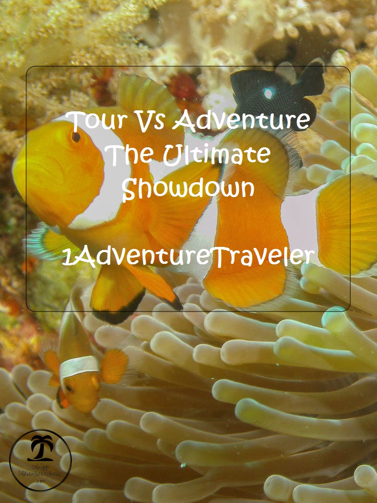 Tour Vs Adventure The Ultimate Showdown with 1AdventureTraveler