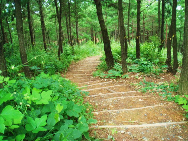 Geoje Island Mountains To Hike -1AdventureTraveler