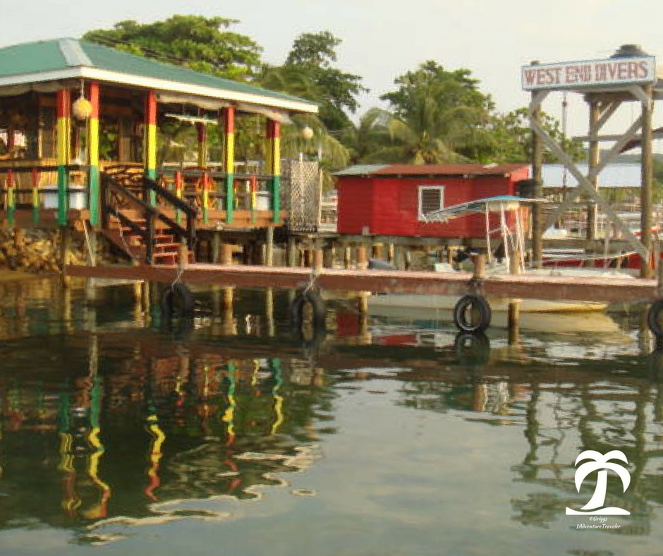 Roatan One of the Bay Islands in the Caribbean, Honduras - 1AdventureTraveler | Journey with me to this lush green island with white sand and beautiful fish in the crystal clear water. | caribbean | scuba diving | snorkeling | travel | scuba | beach | ocean | 