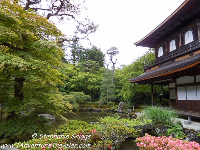 Kyoto Japan an Expat Travel Adventure to this Ancient City- 1AdventureTraveler