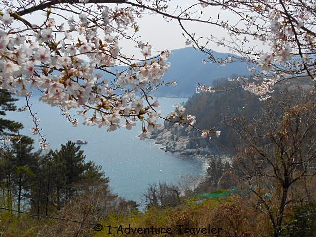 Day Trips Geoje