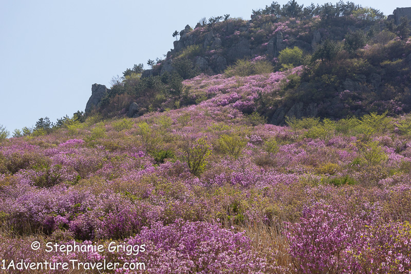 My Adventure to Mt. Daegeumsan for the Ultimate Photo Shot…Geoje Island