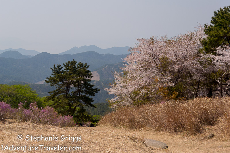 My Adventure to Mt. Daegeumsan for the Ultimate Photo Shot...Geoje Island