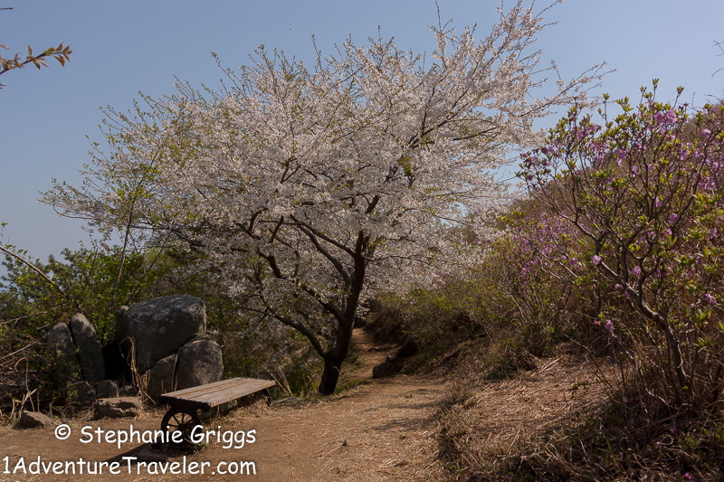 My Adventure to Mt. Daegeumsan for the Ultimate Photo Shot...Geoje Island