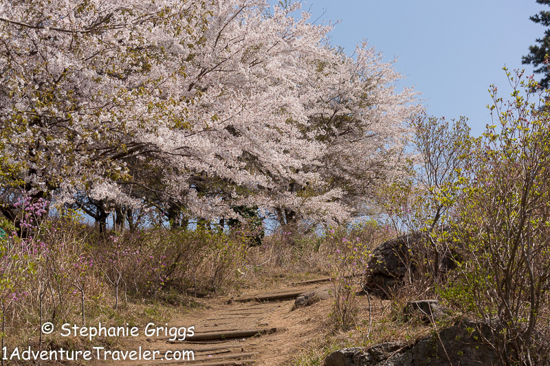 My Adventure to Mt. Daegeumsan for the Ultimate Photo Shot...Geoje Island - 1AdventureTraveler