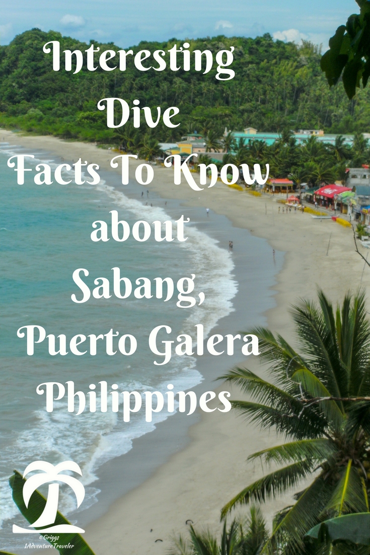 Interesting Dive Facts To Know About Sabang - 1AdventureTraveler | Dive Sabang, Puerto Galera, Philippines. One of the top 10 dive destinations in according to a dive magazine. Follow me on my diving journey | Puerto Galera | Philippines | Sabang | travel | dive | scuba | scuba diving | ocean | sea life | fish | travel photography |