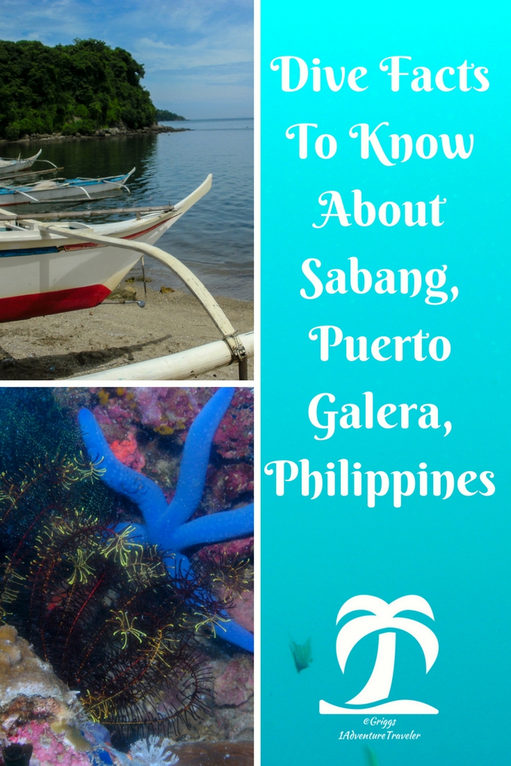 Interesting Dive Facts To Know About Sabang - 1AdventureTraveler | Dive Sabang, Puerto Galera, Philippines. One of the top 10 dive destinations in according to a dive magazine. Follow me on my diving journey | Puerto Galera | Philippines | Sabang | travel | dive | scuba | scuba diving | ocean | sea life | fish | travel photography |