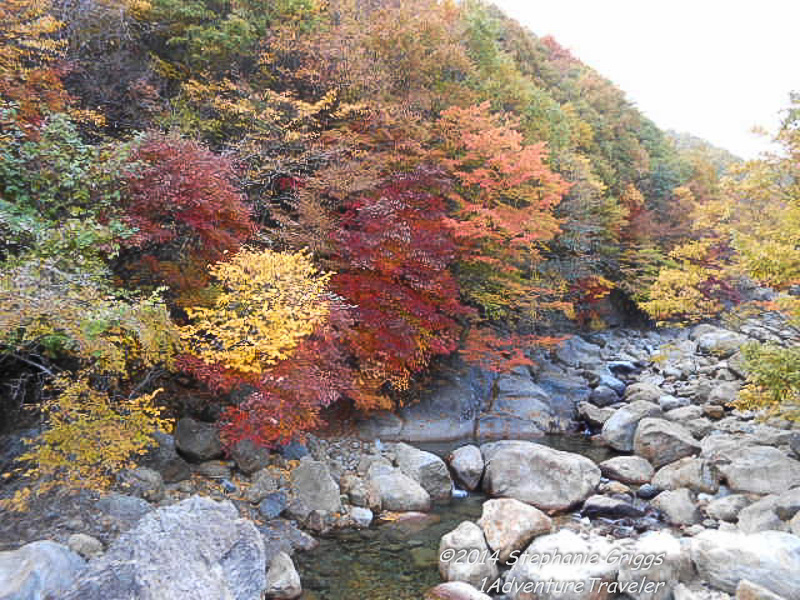 Hike Jirisan Magnificent Fall Colors