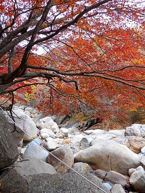 Mt Jirisan - See Magnificent Fall Colors with 1AdventureTraveler | South Korea | Mt. Jirisan | Autumn | Leaf peeping | hiking | expat travel | Fall colors | mountains | 