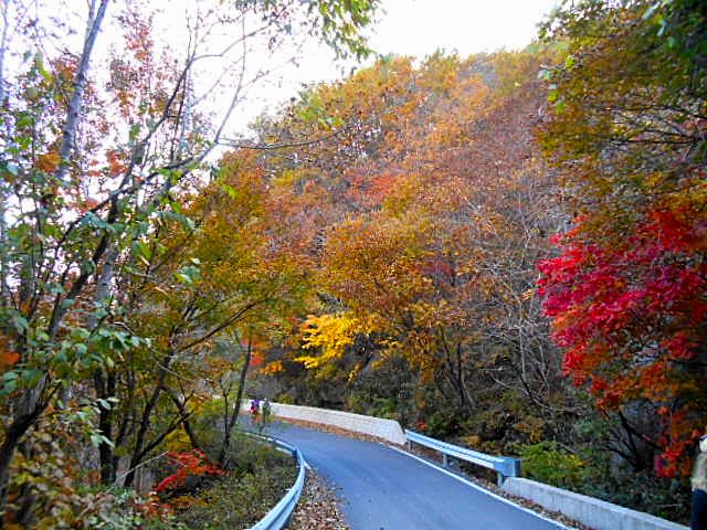 Mt Jirisan - See Magnificent Fall Colors with 1AdventureTraveler | South Korea | Mt. Jirisan | Autumn | Leaf peeping | hiking | expat travel | Fall colors | mountains |