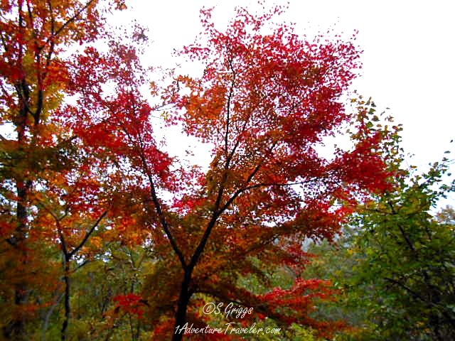 Mt Jirisan - See Magnificent Fall Colors with 1AdventureTraveler | South Korea | Mt. Jirisan | Autumn | Leaf peeping | hiking | expat travel | Fall colors | mountains |