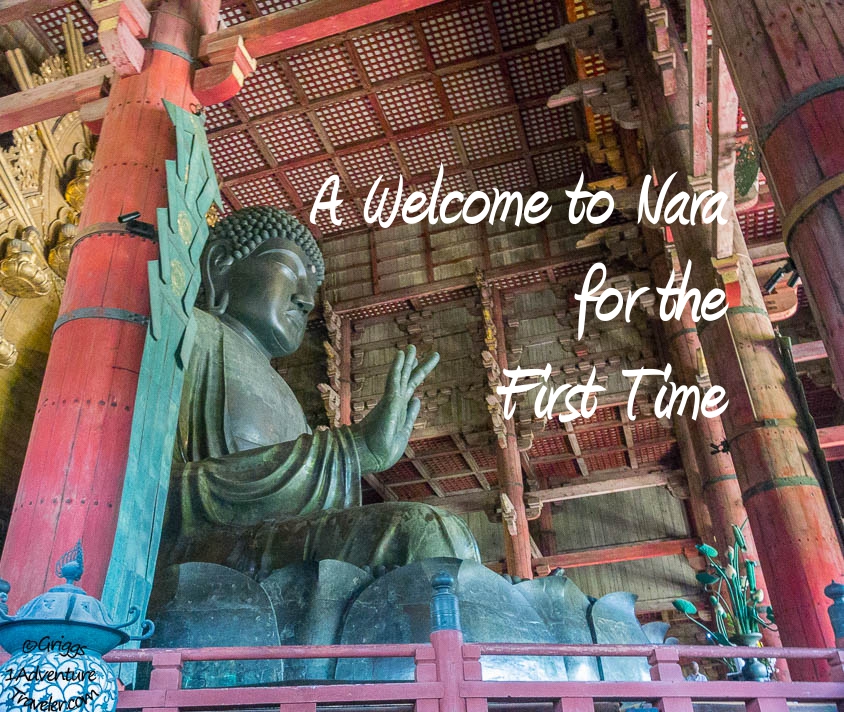 A Welcome to Nara for the First Time