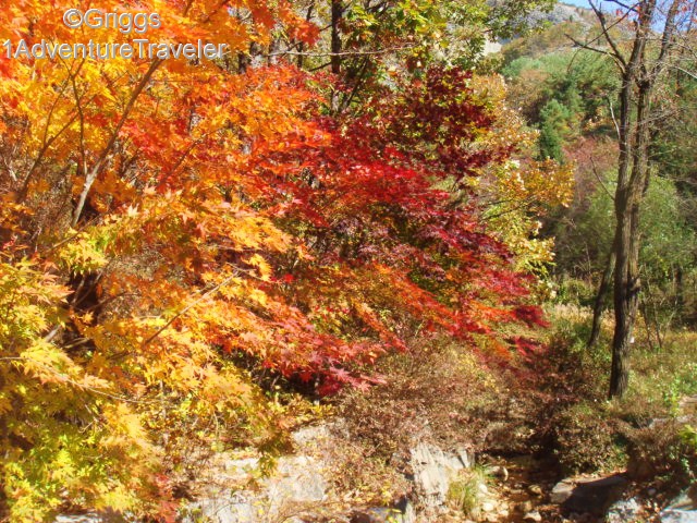 The Impact of Fall at Mt Maisan with 1AdventureTraveler | South Korea | 