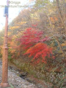 The Impact of Fall at Mt Maisan with 1AdventureTraveler | South Korea | 