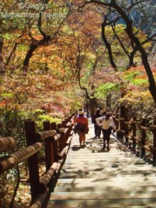 The Impact of Fall at Mt Maisan with 1AdventureTraveler | South Korea | 