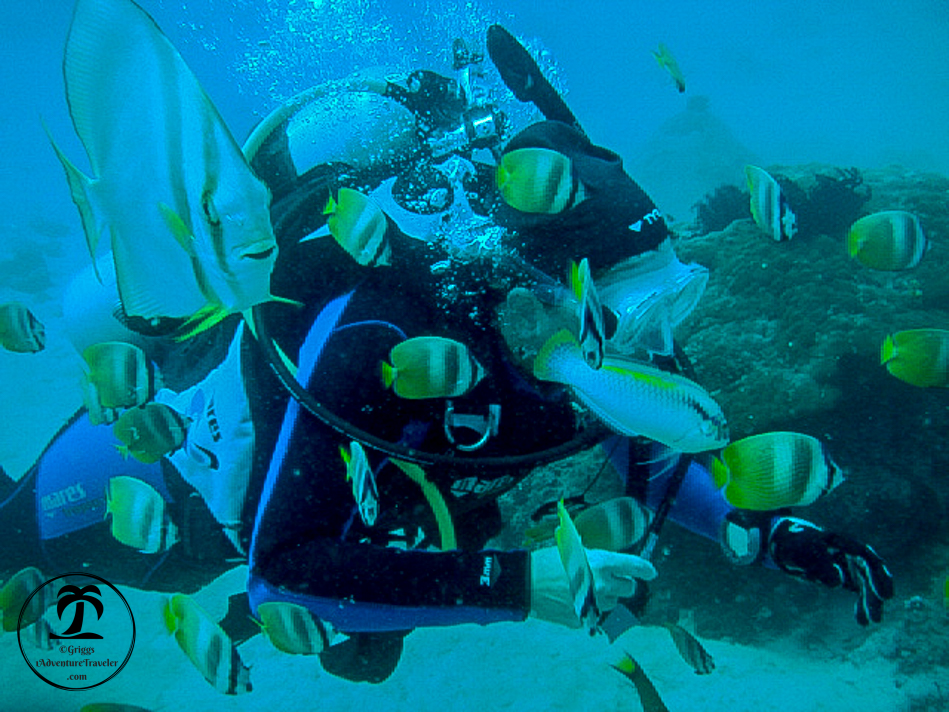 How to Scuba Dive for AdventureTravel - 1AdventureTravele