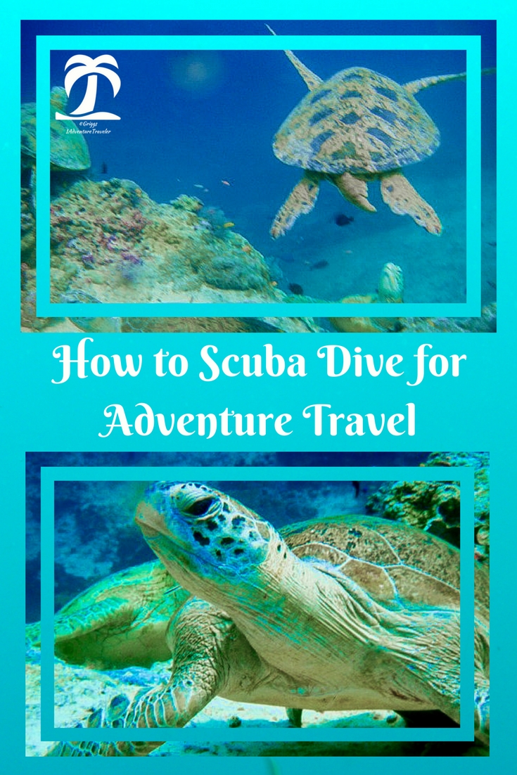 How to Scuba Dive for Adventure Travel - 1AdventureTraveler