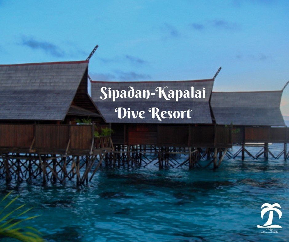 Fearless at the Beautiful Sipadan-Kapalai Dive Resort