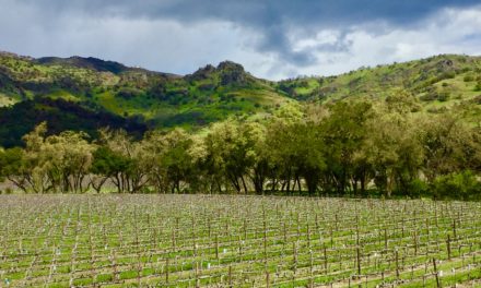 Fun Napa Valley Wine Trivia Facts