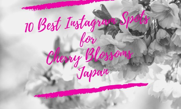 10 Best Instagram Spots for Cherry Blossoms Japan