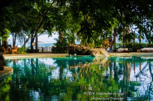 tamarindo                             